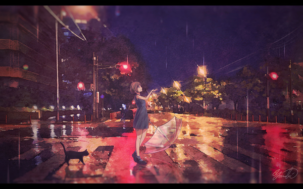 Anime Street Cat Umbrella Night Rain HD Wallpaper | Background Image