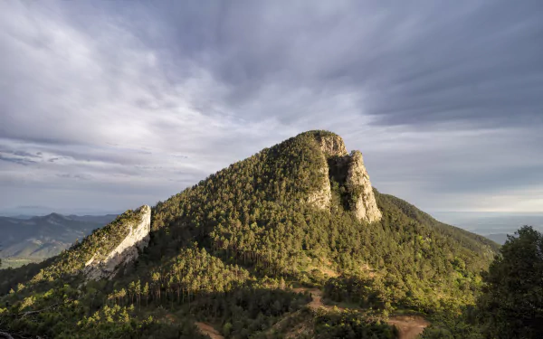 8K Ultra HD PC desktop wallpaper and background: forested hill rising beneath a dramatic cloudy sky, lush nature landscape with rocky outcrops.