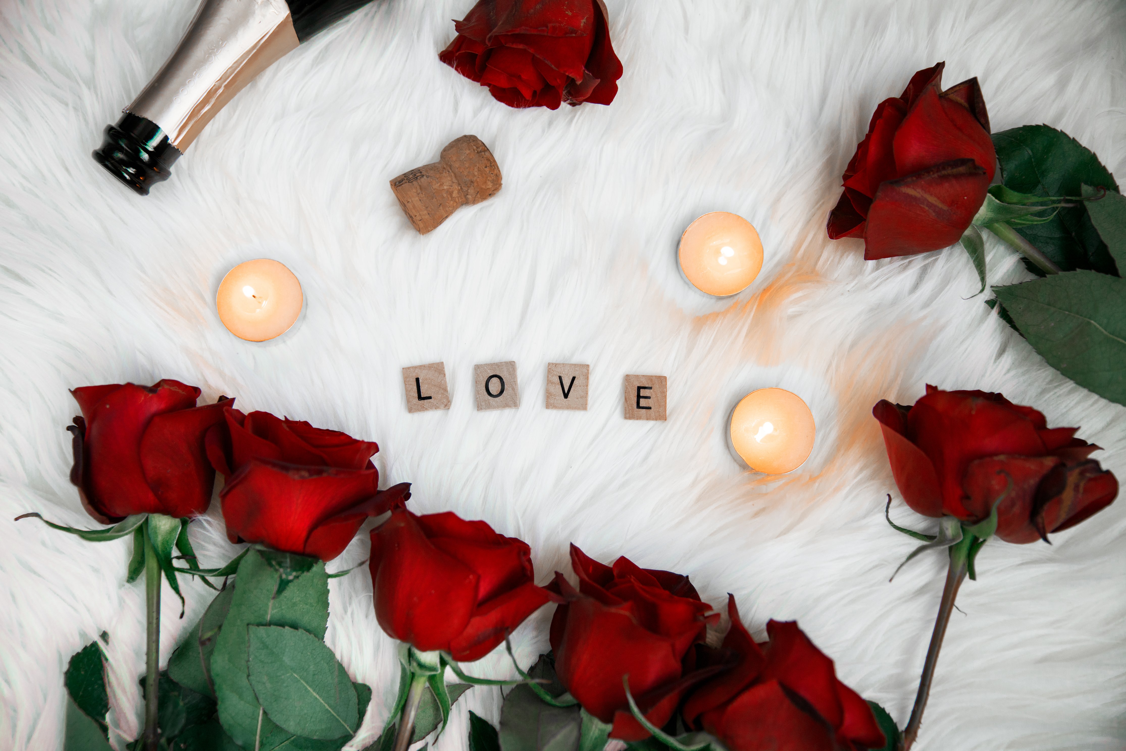 Download Rose Artistic Romantic 4k Ultra HD Wallpaper by Nicole De Khors