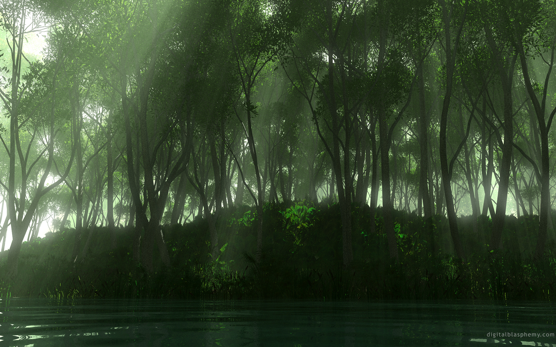 Earth Forest Wallpaper