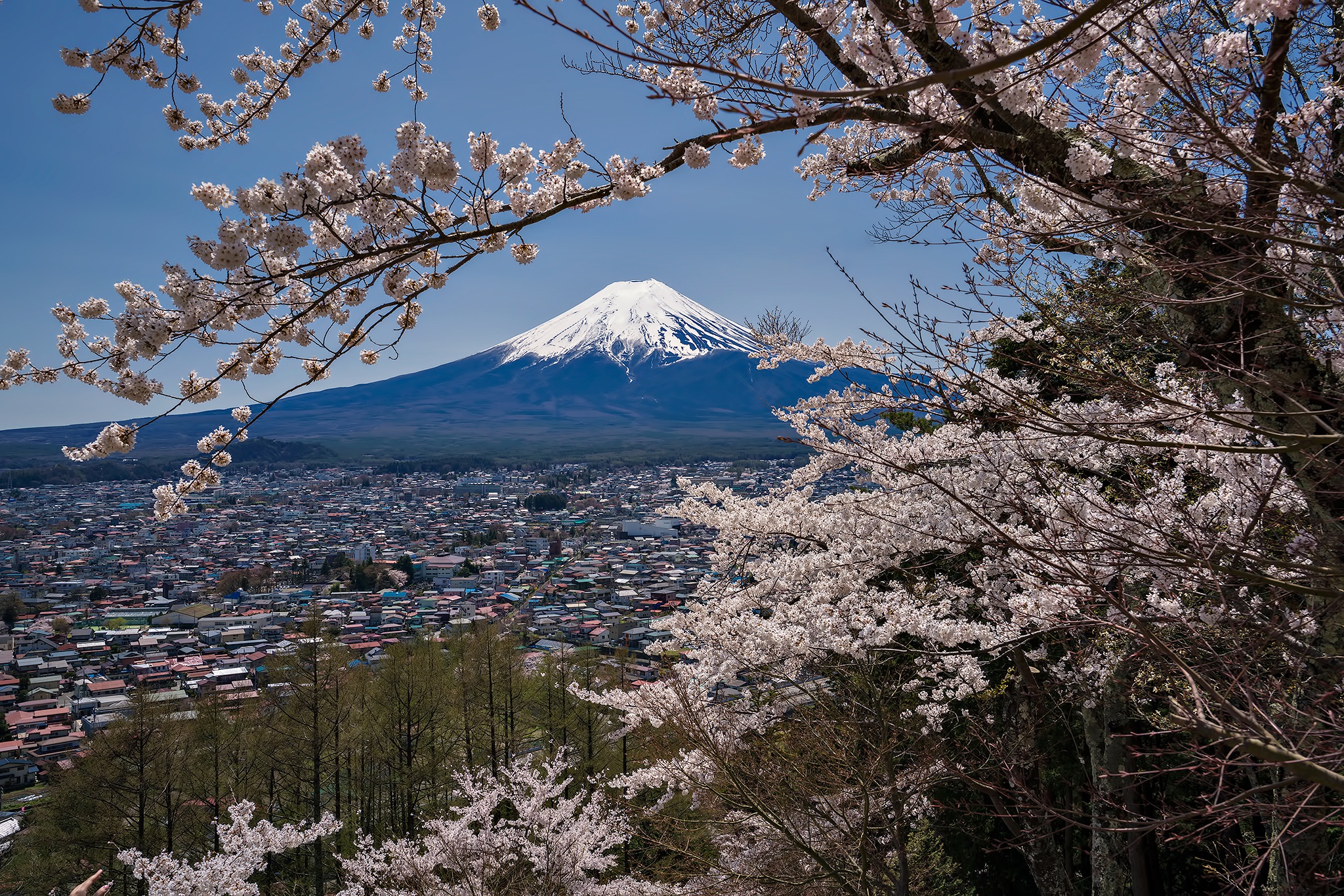 Nature Mount Fuji HD Wallpaper | Background Image