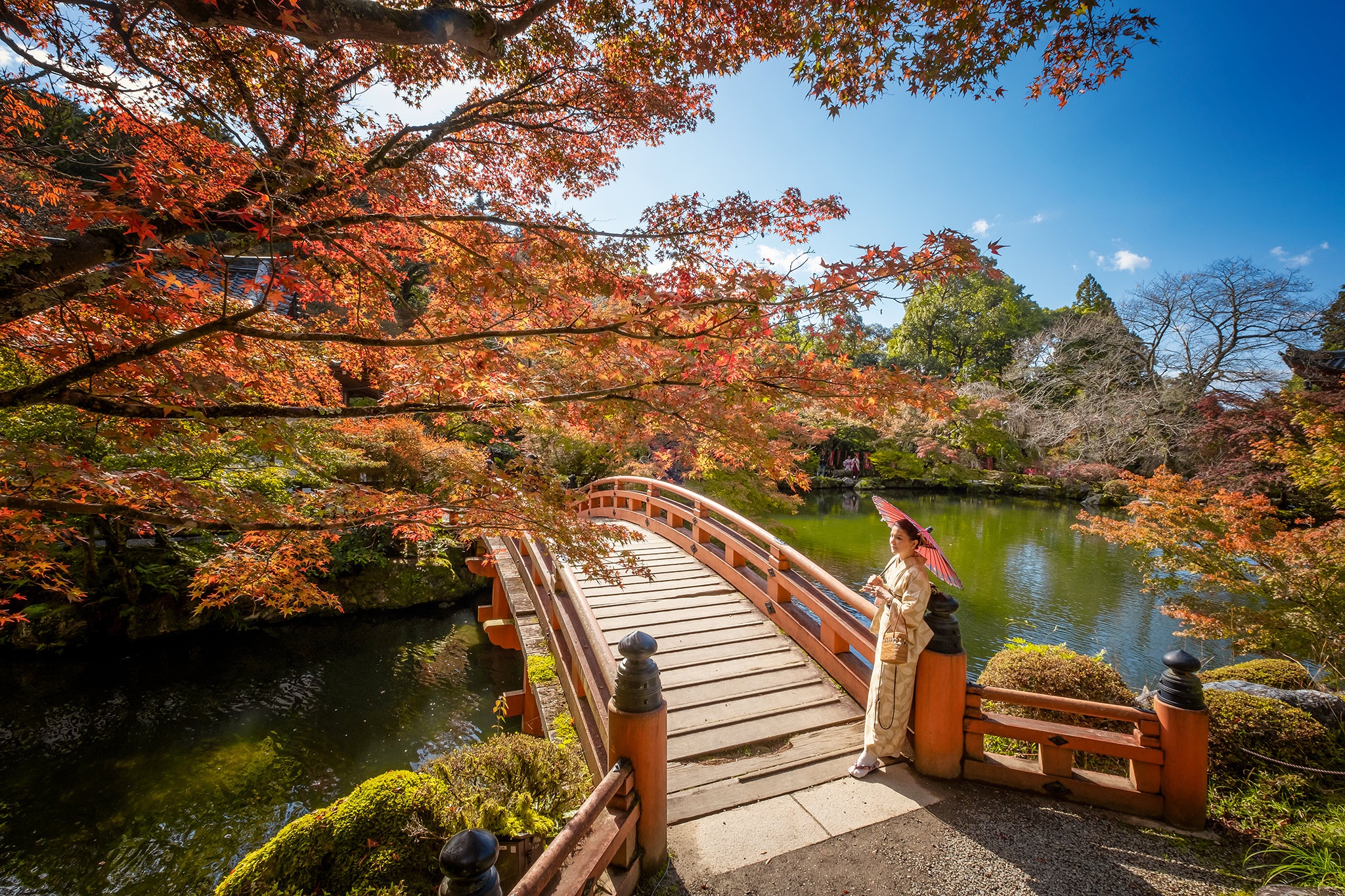 Download Bridge Japan Umbrella Park Fall Woman Model HD Wallpaper