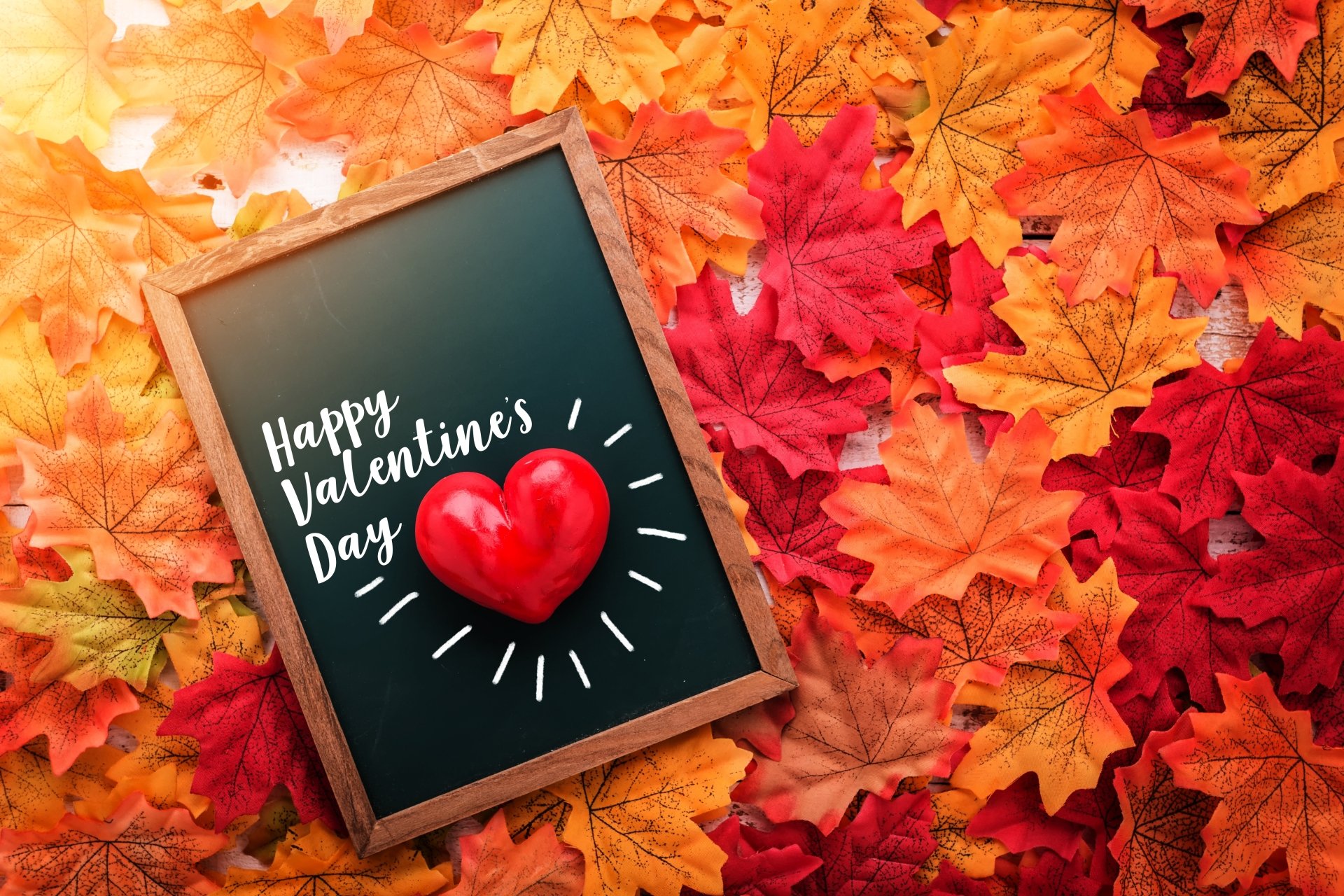 Download Happy Valentine's Day Fall Holiday Valentine's Day 4k Ultra HD Wallpaper