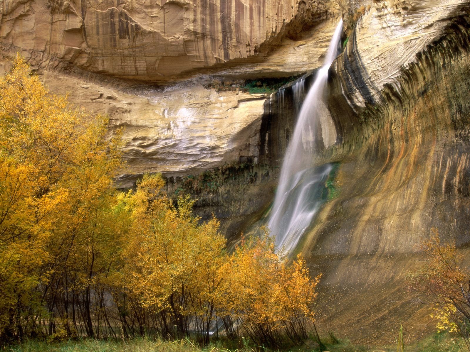 Download Nature Calf Creek Falls Wallpaper