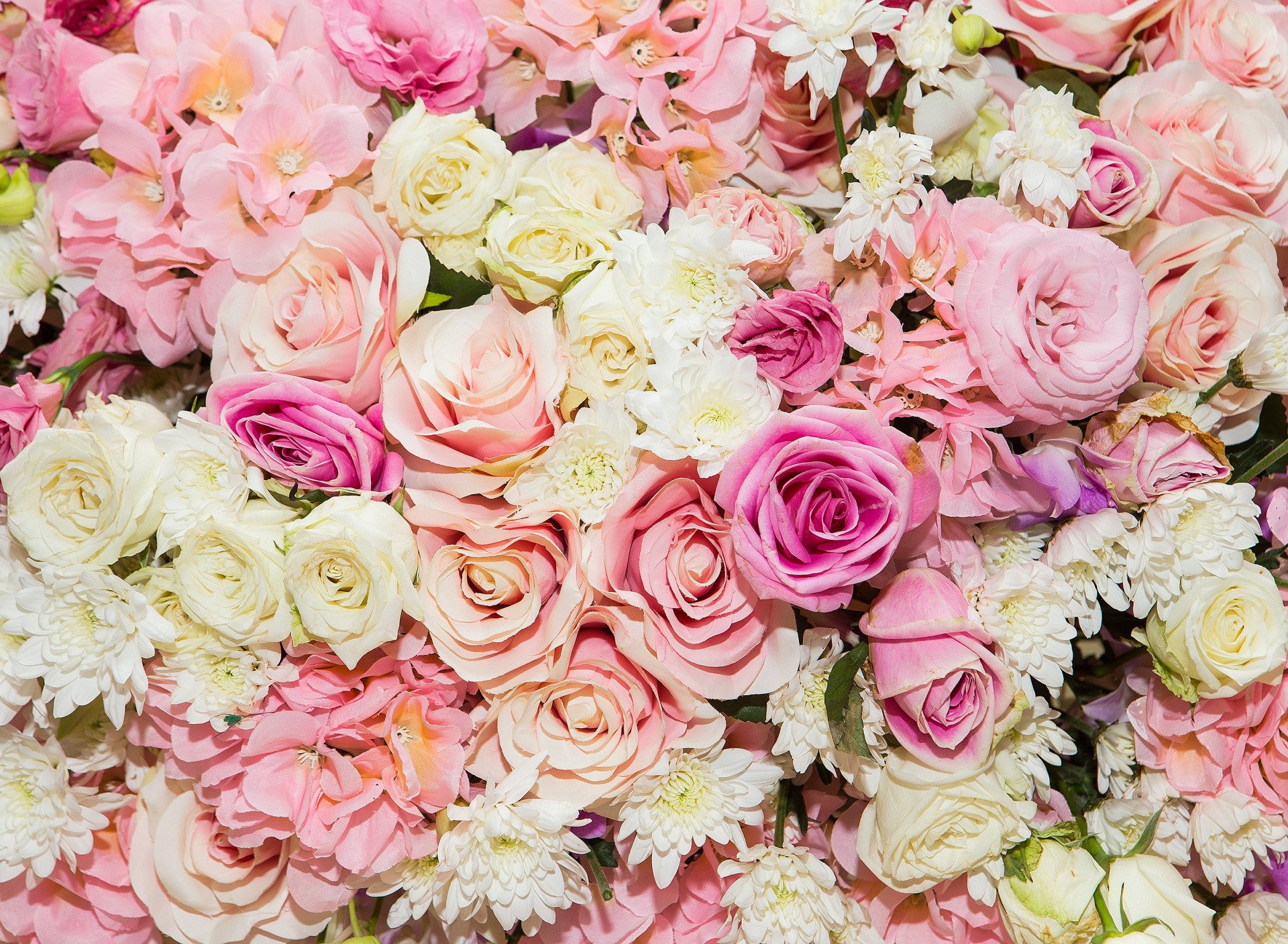 colorful-pastel-roses