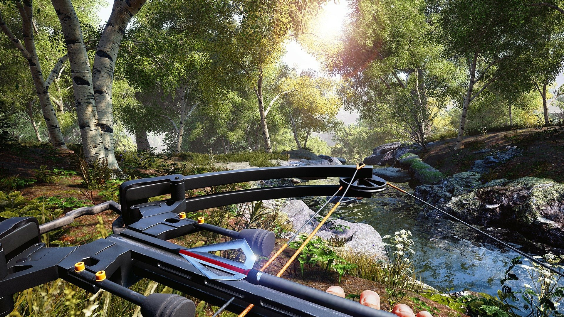 HD wallpaper of Hunting Simulator 2 featuring a crossbow aiming down a serene, sunlit forest stream.