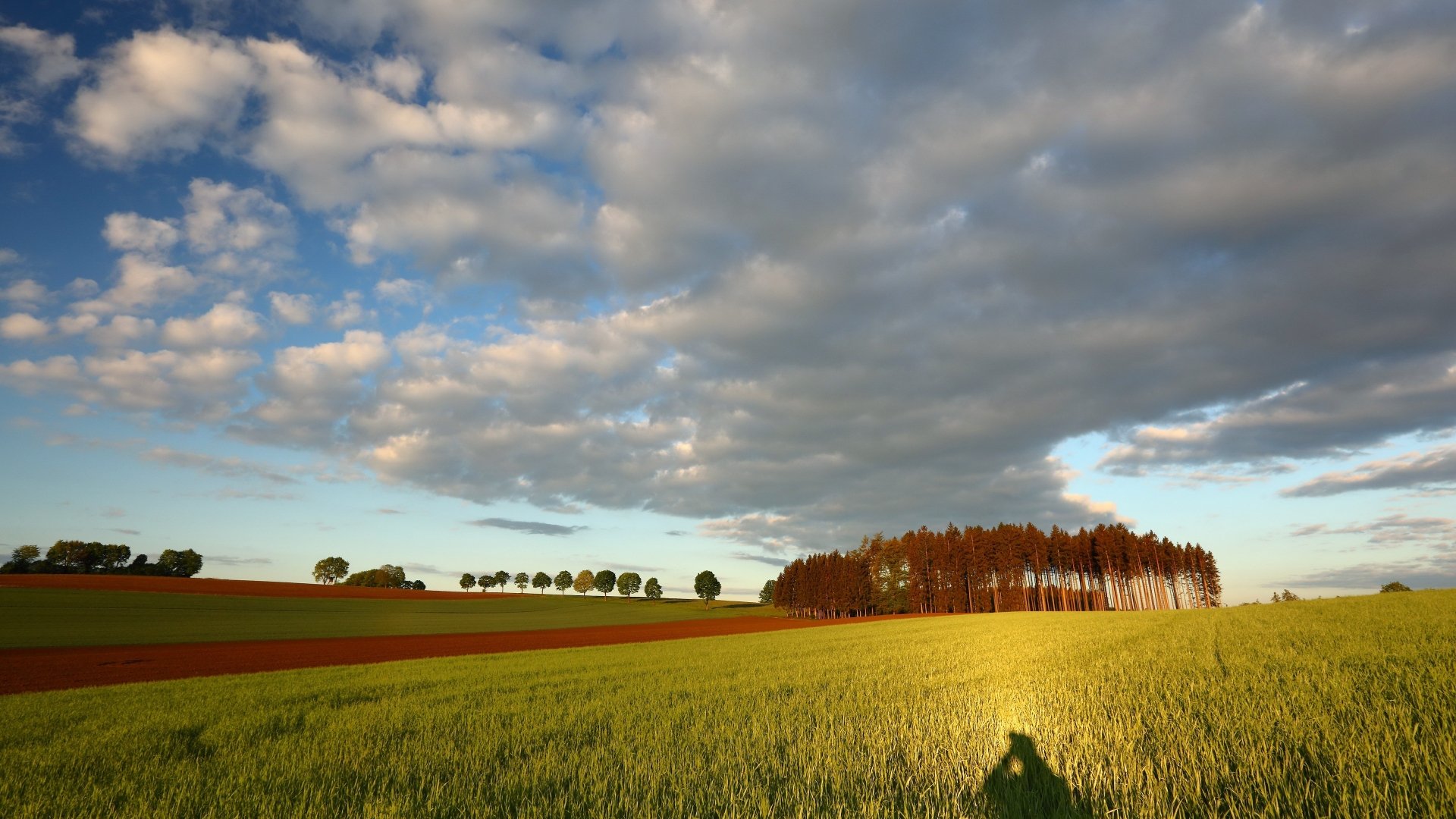 Field k. Поле и небо. Обои поле. Земля поле. Обои на рабочий стол 1920х1080 поле.