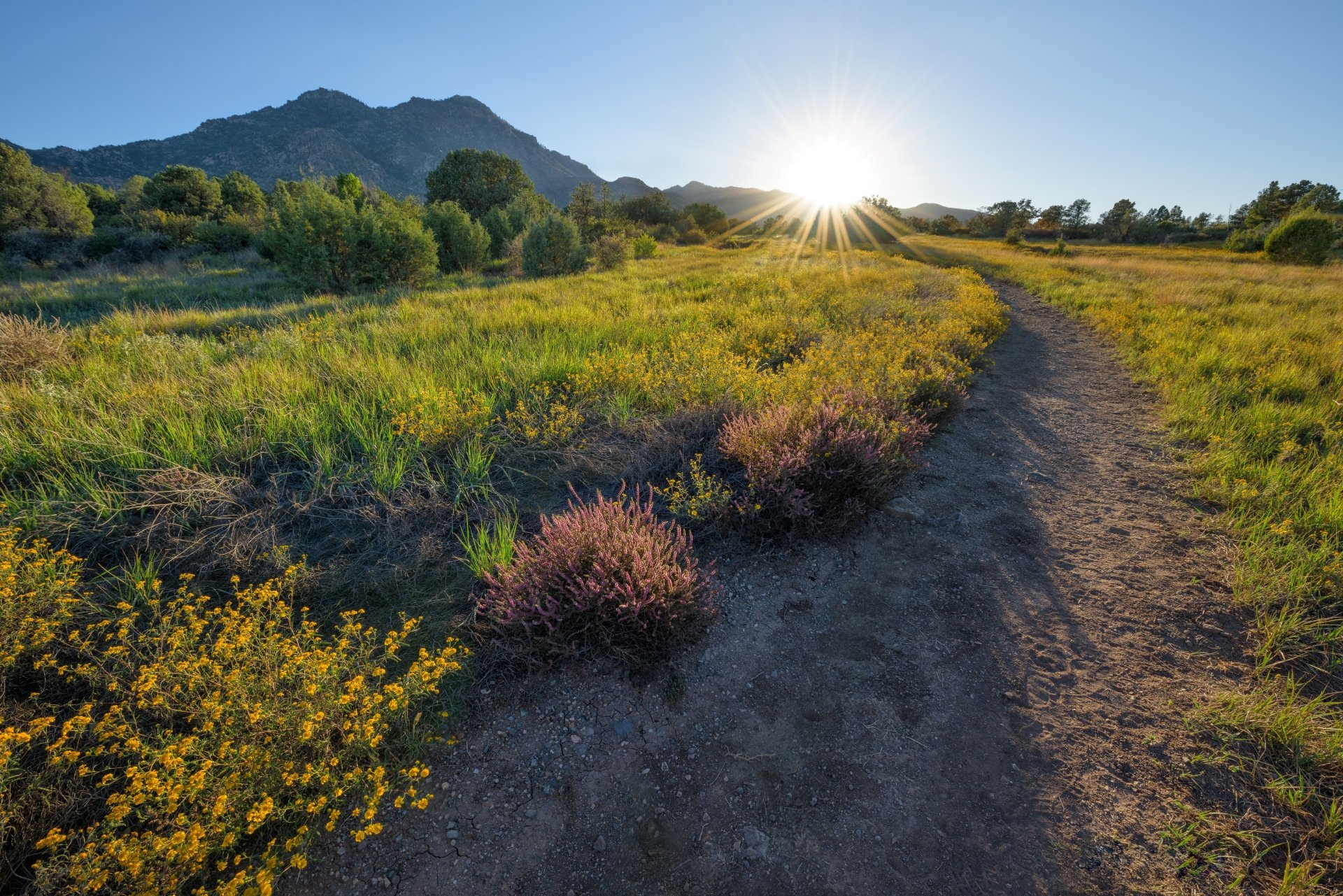 Download Nature Sunbeam 4k Ultra HD Wallpaper | 5120x3417 | Wallpaper Abyss