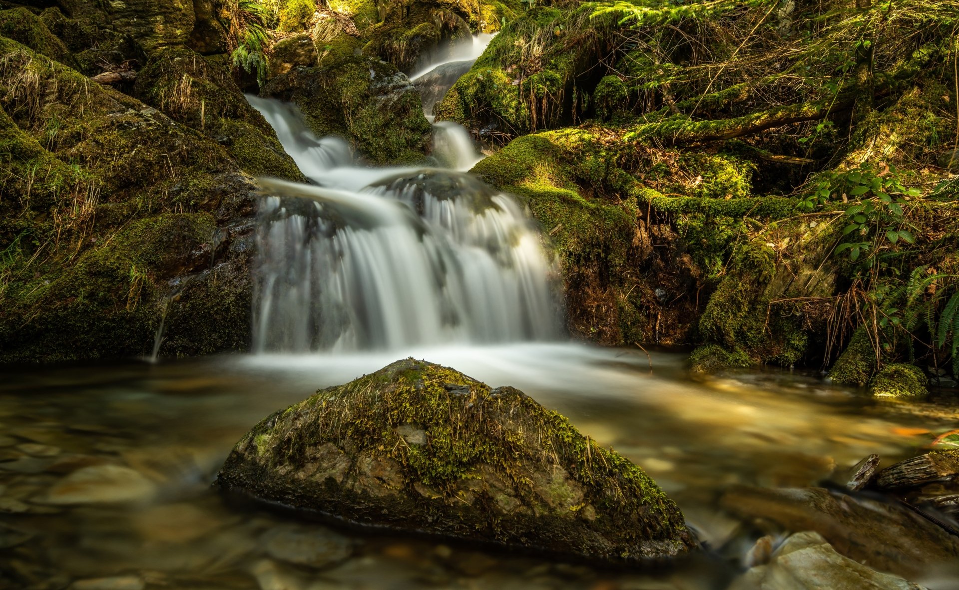 Download River Moss Stream Nature Waterfall 4k Ultra HD Wallpaper