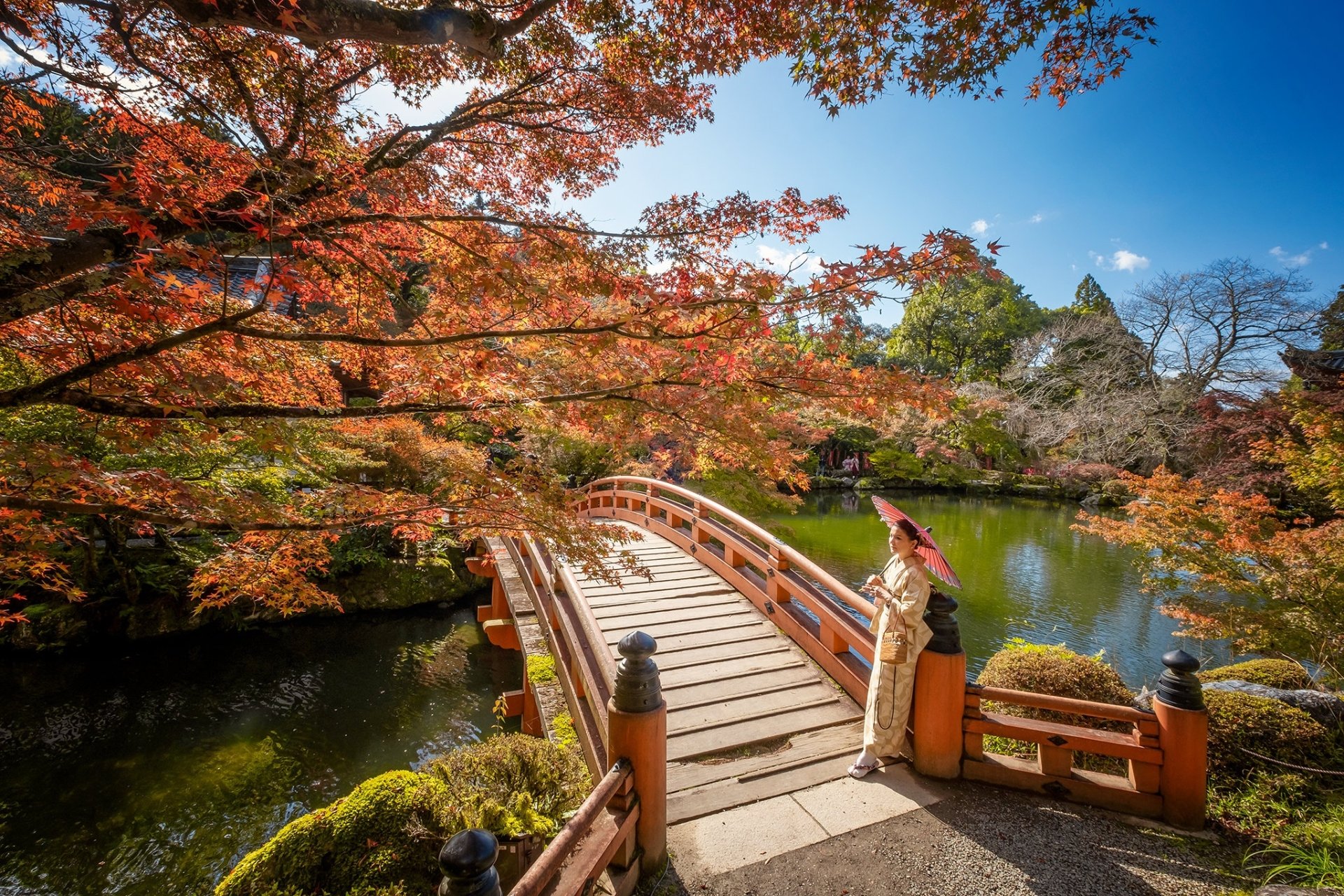 Япония осень парк