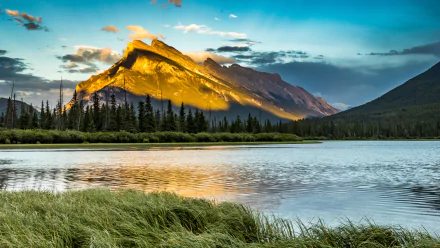 river nature mountain landscape grass banff national park HD Desktop Wallpaper | Background Image