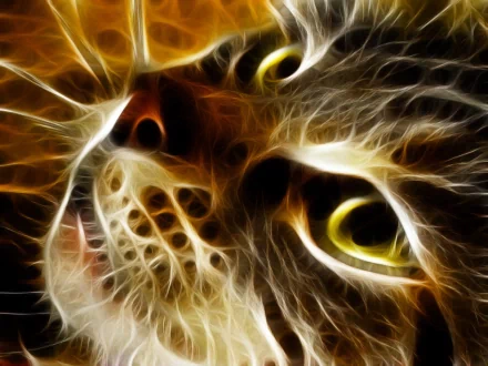 A high-definition desktop wallpaper featuring a fractal art image of a kitten. The intricate, glowing patterns create a mesmerizing and surreal depiction of the animal.
