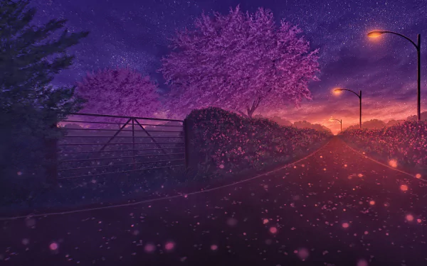 nature hedge street light blossom artistic path gate HD Desktop Wallpaper | Background Image