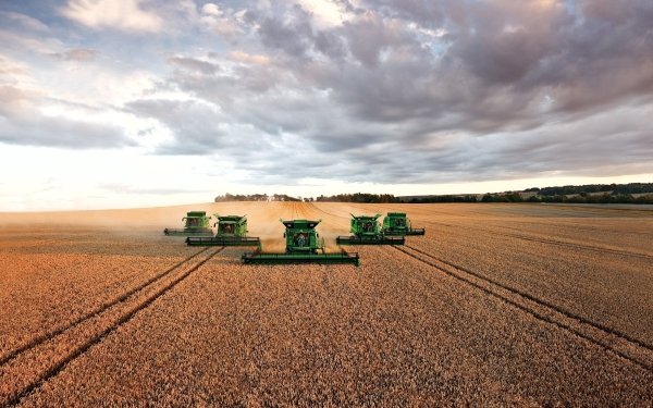 Vehicles Harvester Summer Field HD Wallpaper | Background Image