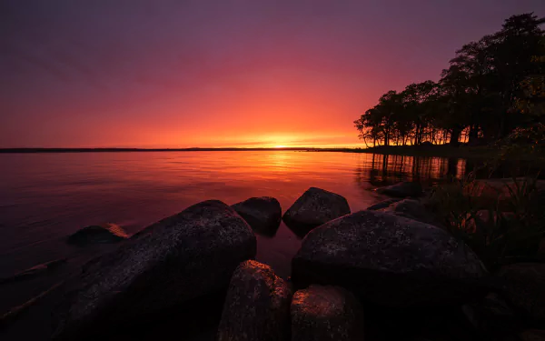 HD wallpaper of a serene Swedish lake at sunrise. The tranquil scene features a calm lake, large stones in the foreground, and a silhouetted tree line under a vibrant, colorful sky.