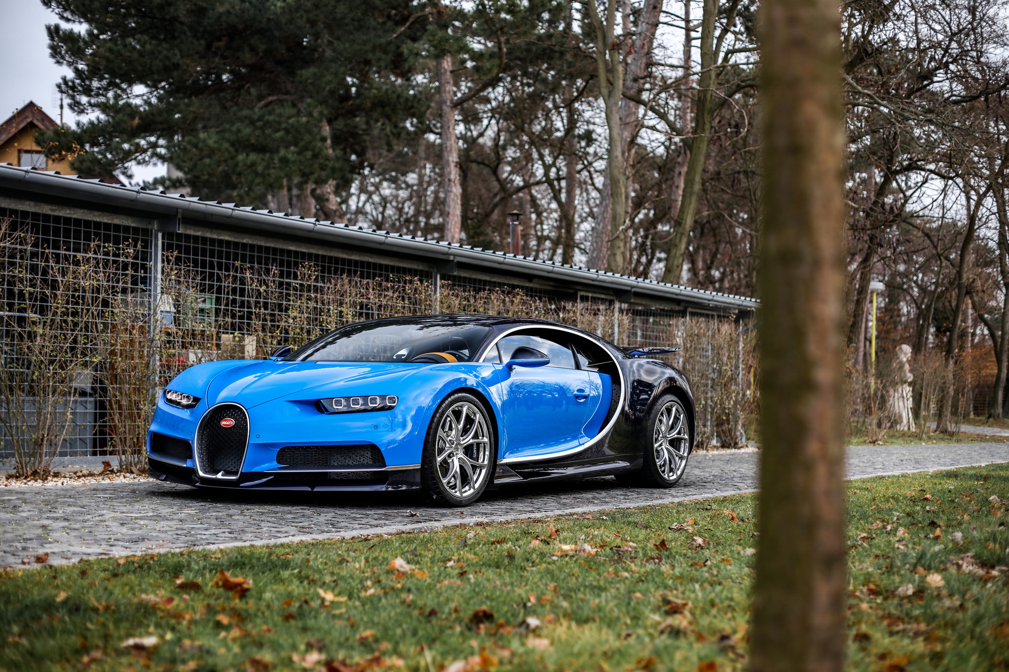 Bugatti chiron blue