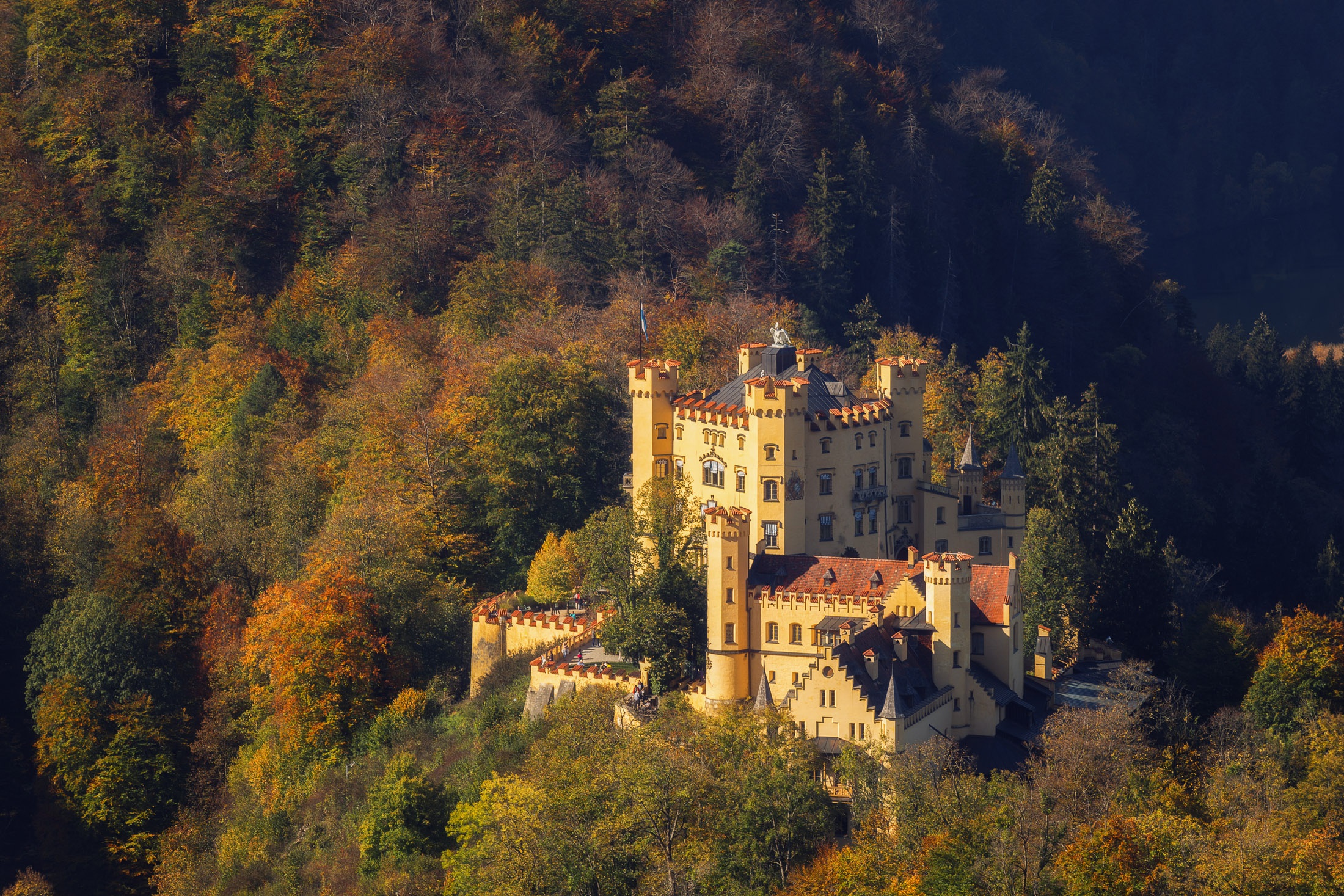 Man Made Hohenschwangau Castle HD Wallpaper | Background Image
