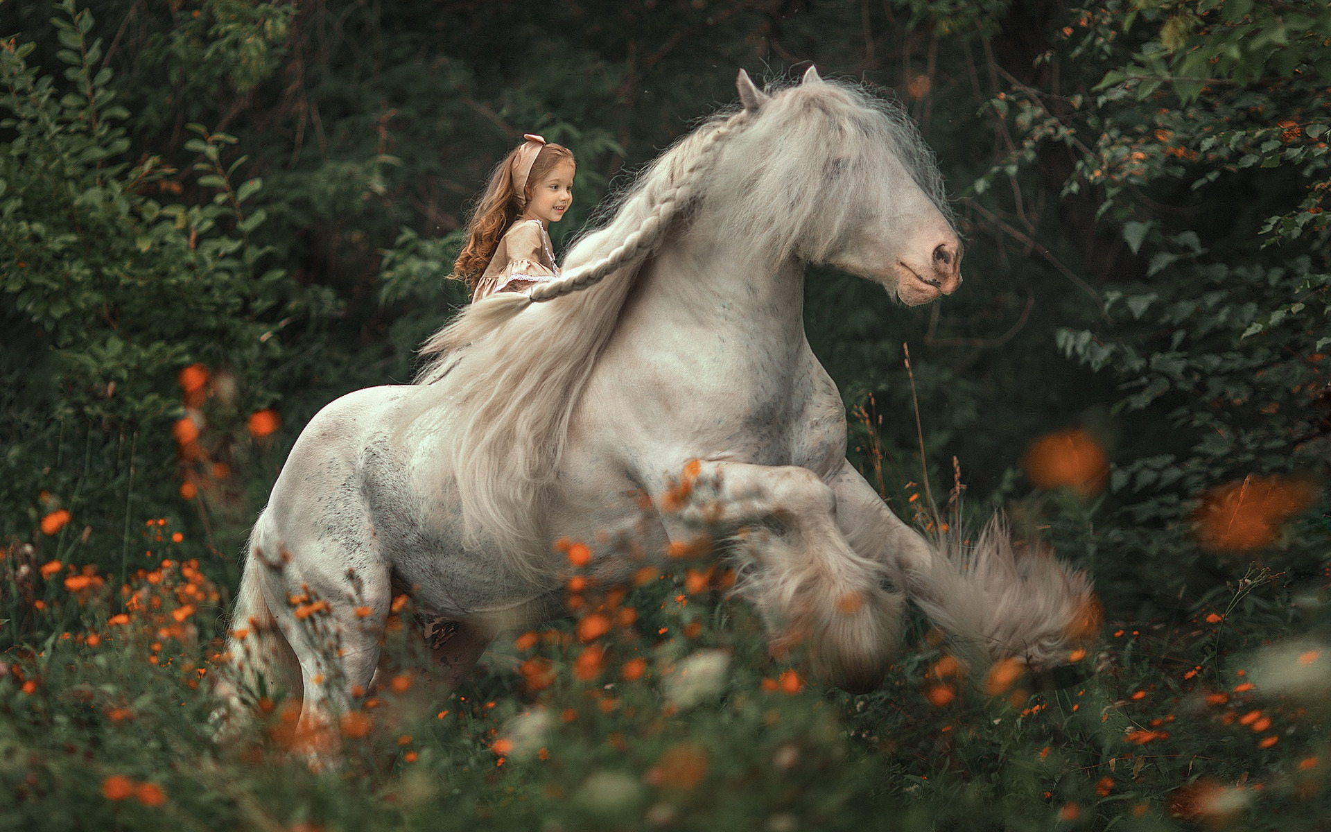 Download Mood Horse Photography Child HD Wallpaper