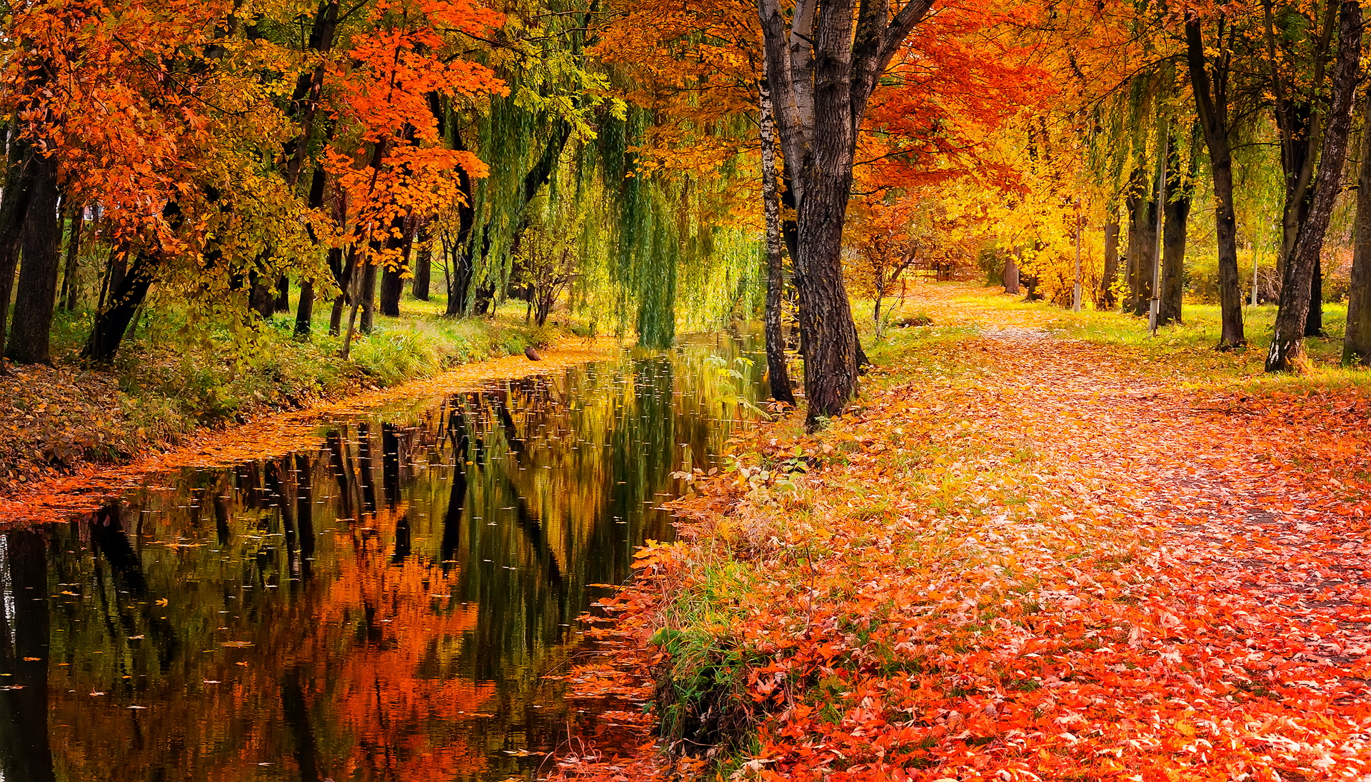 Autumn Splendor HD