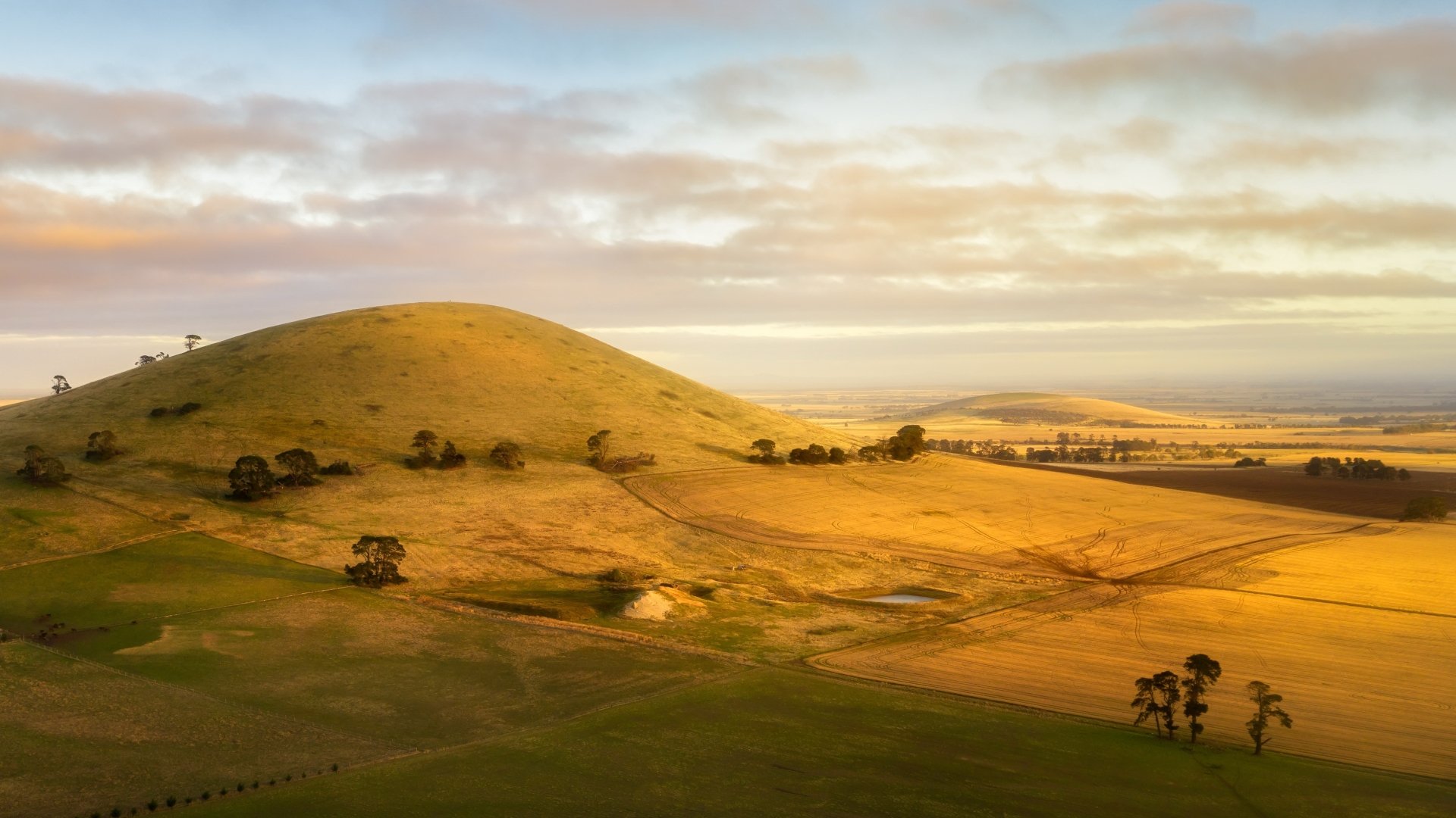 Download Grassland Nature Landscape HD Wallpaper