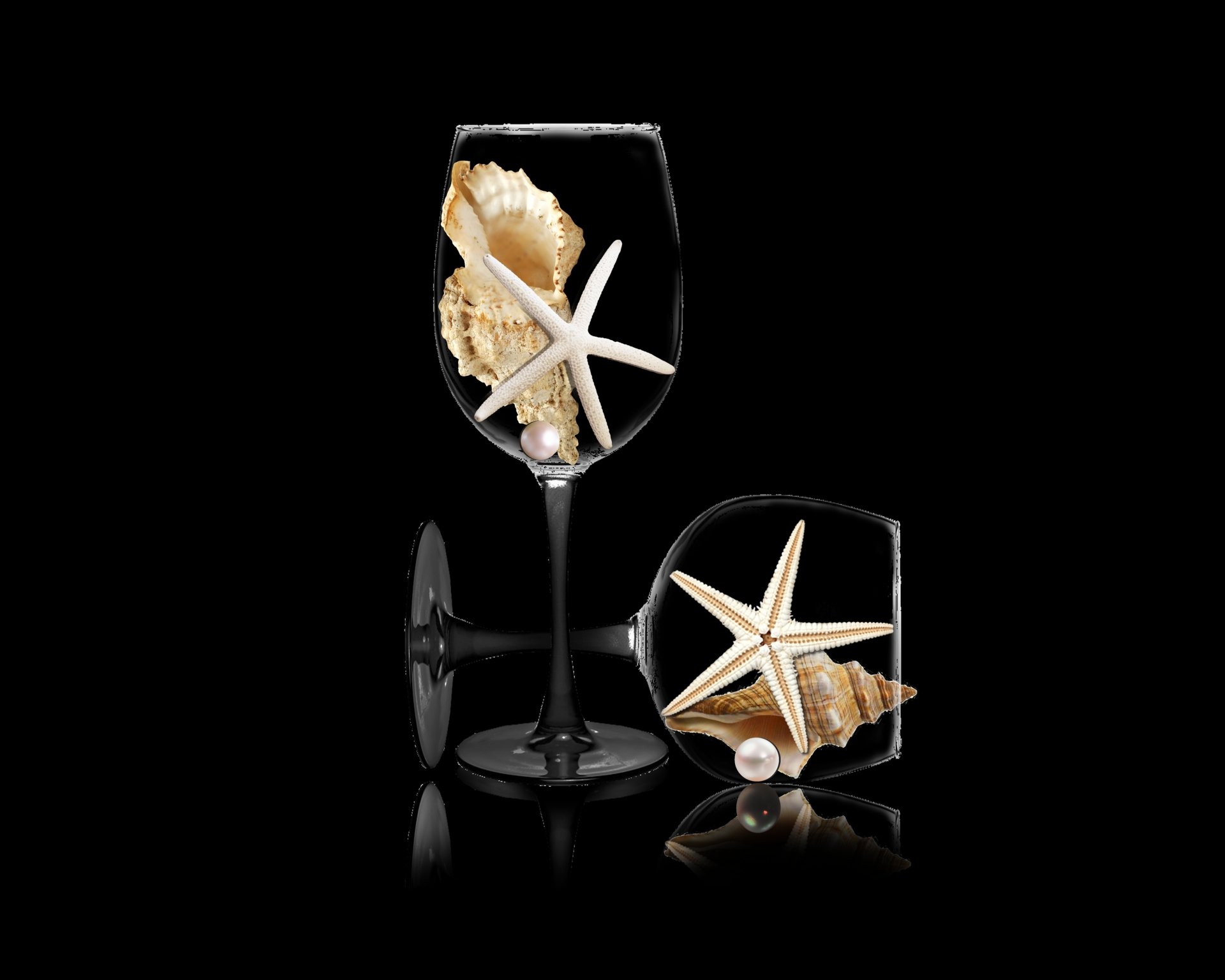 Download Starfish Shell Pearl Photography Still Life HD Wallpaper