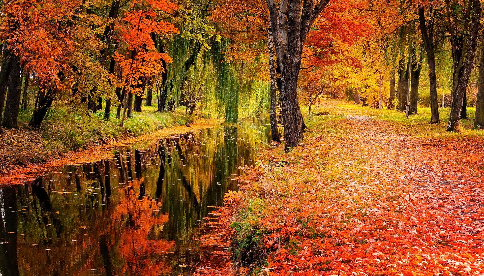 Download Nature Fall HD Wallpaper