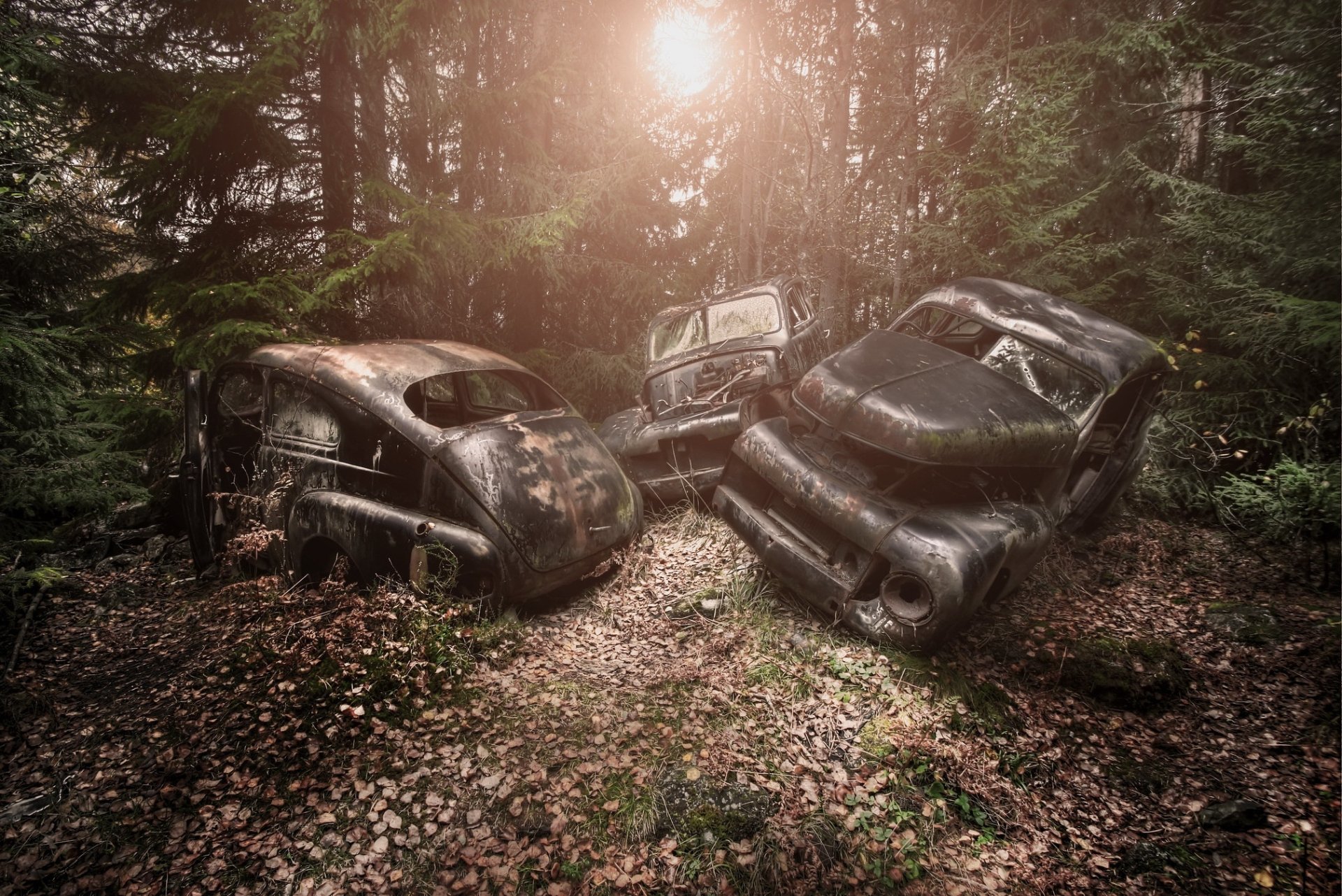 Заброшенные машины в лесу в России