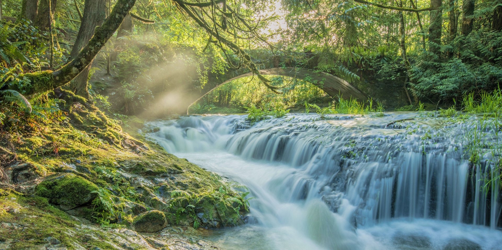 Mossy stone arch bridge spans a cascading river and waterfall in a sunlit forest in British Columbia, Canada, 5K Ultra HD desktop wallpaper.