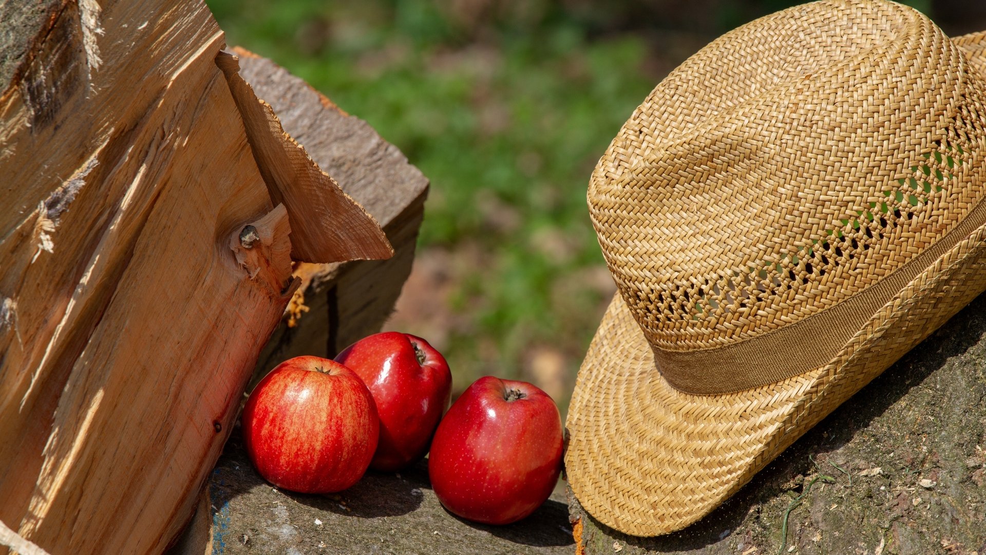 Download Fruit Firewood Hat Food Apple 4k Ultra HD Wallpaper