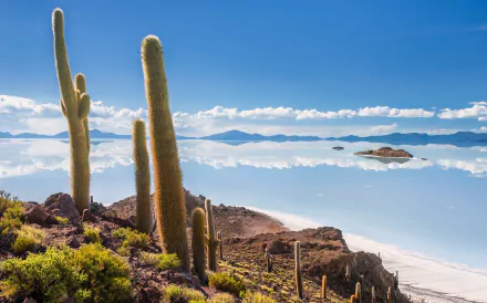 cloud sky shore cactus sea Bolivia nature coastline HD Desktop Wallpaper | Background Image