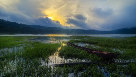 vegetation lake cloud sky vehicle boat HD Desktop Wallpaper | Background Image