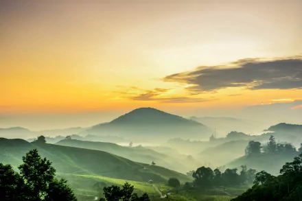 mountain sunset sky cloud man made tea plantation HD Desktop Wallpaper | Background Image