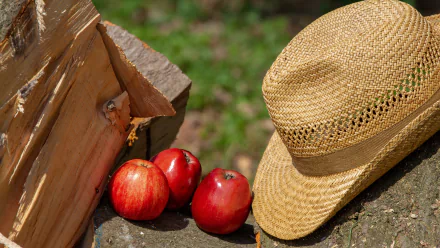 fruit firewood hat food apple HD Desktop Wallpaper | Background Image
