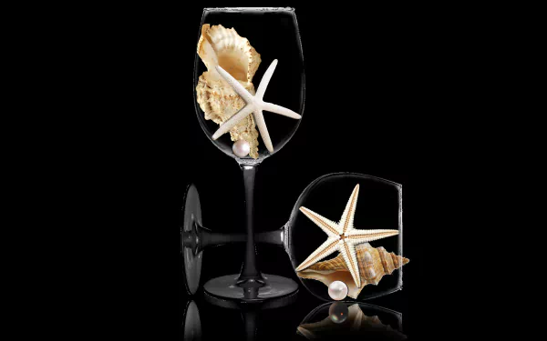 starfish shell pearl photography still life HD Desktop Wallpaper | Background Image