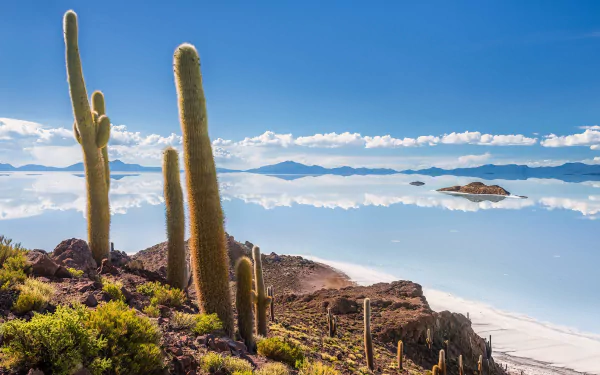 cloud sky shore cactus sea Bolivia nature coastline HD Desktop Wallpaper | Background Image