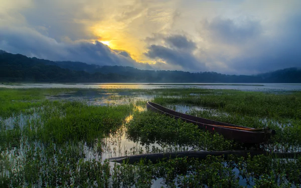 vegetation lake cloud sky vehicle boat HD Desktop Wallpaper | Background Image