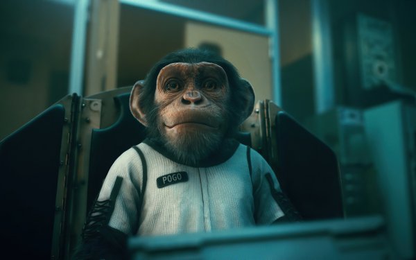 TV Show The Umbrella Academy Monkey Chimpanzee HD Wallpaper | Background Image