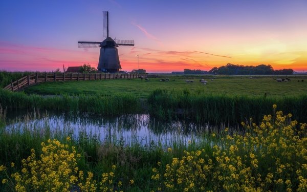 Man Made Windmill Field HD Wallpaper | Background Image