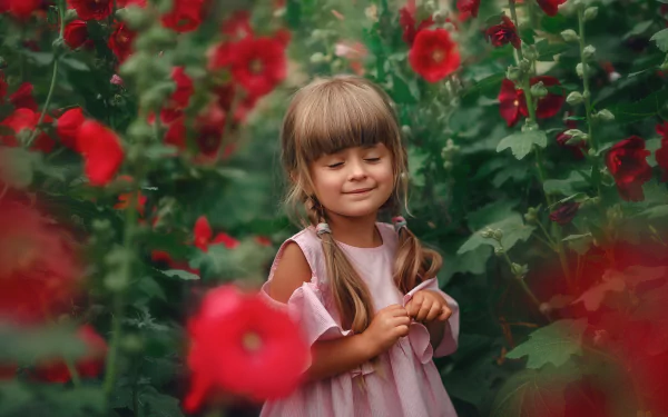 mallow pigtail dress smile flower photography child HD Desktop Wallpaper | Background Image