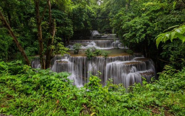 vegetation nature waterfall HD Desktop Wallpaper | Background Image