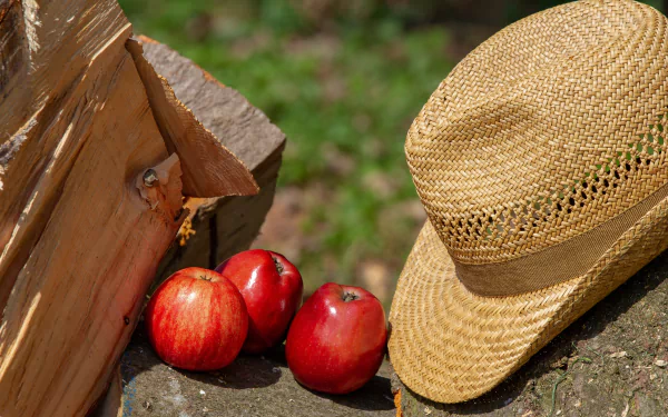 fruit firewood hat food apple HD Desktop Wallpaper | Background Image
