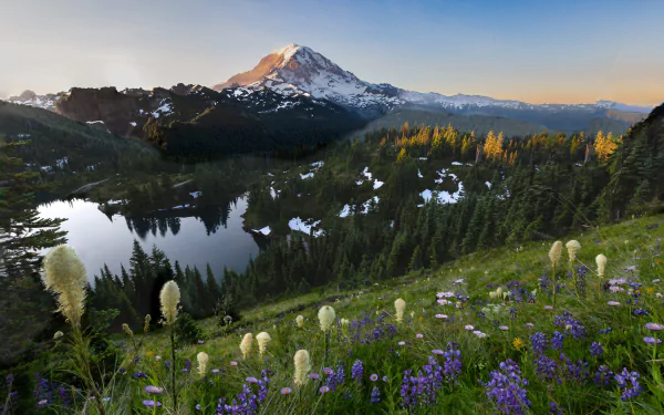 Mount Rainier USA nature mountain landscape lake HD Desktop Wallpaper | Background Image