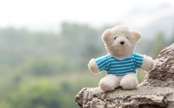teddy bear man made stuffed animal HD Desktop Wallpaper | Background Image