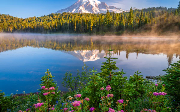 Mist rises over a serene lake in Mount Rainier National Park, USA, reflecting the mountain, forest, and vibrant wildflowers in this 8K Ultra HD nature scene.