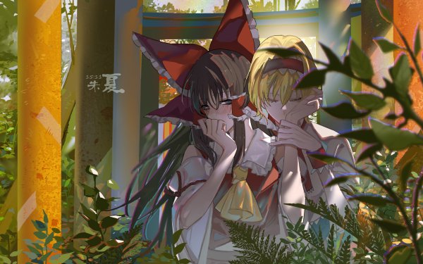 Anime Touhou Reimu Hakurei Alice Margatroid HD Wallpaper | Background Image