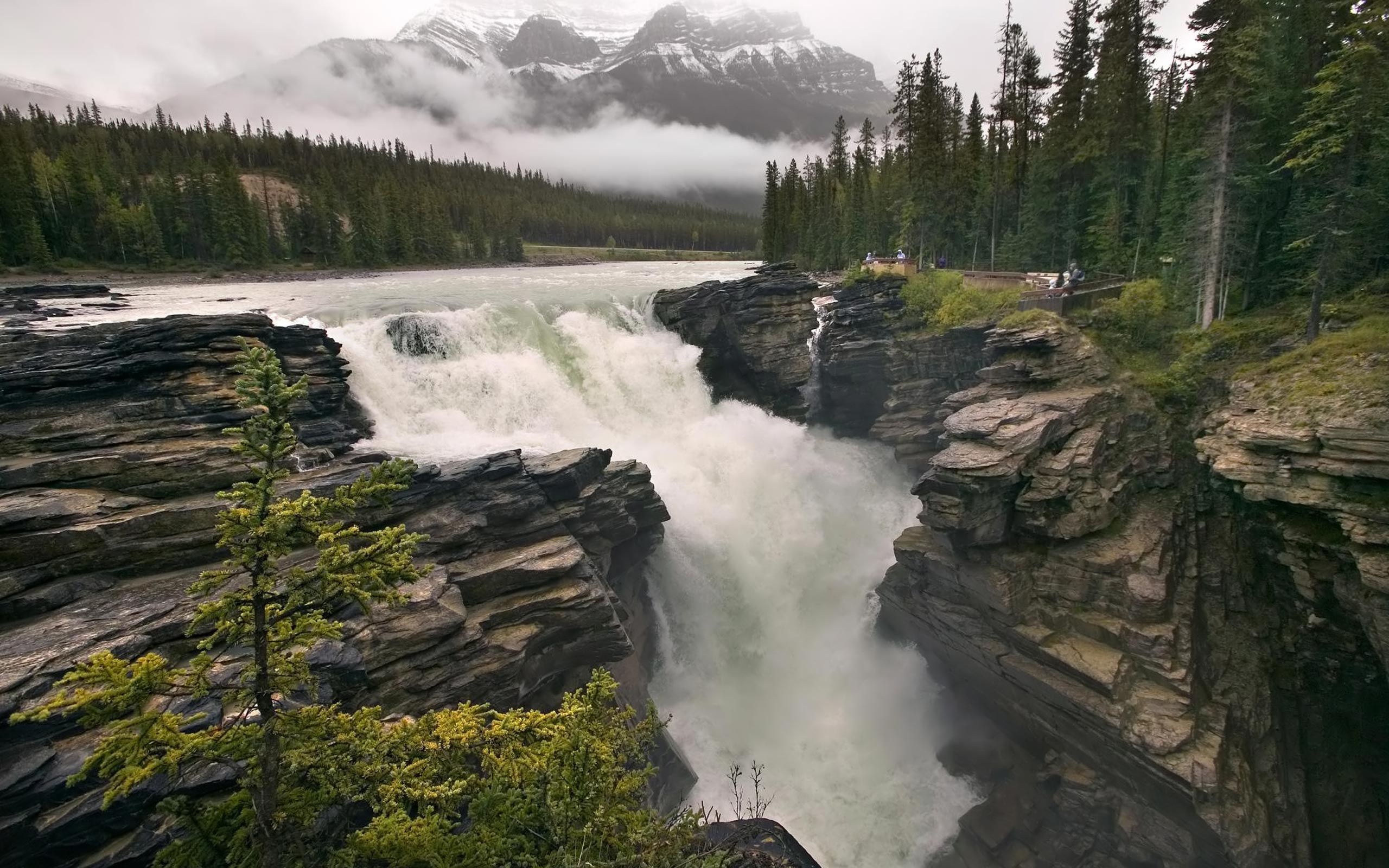 Scenic view of Athabasca Falls surrounded by nature and a flowing river.
