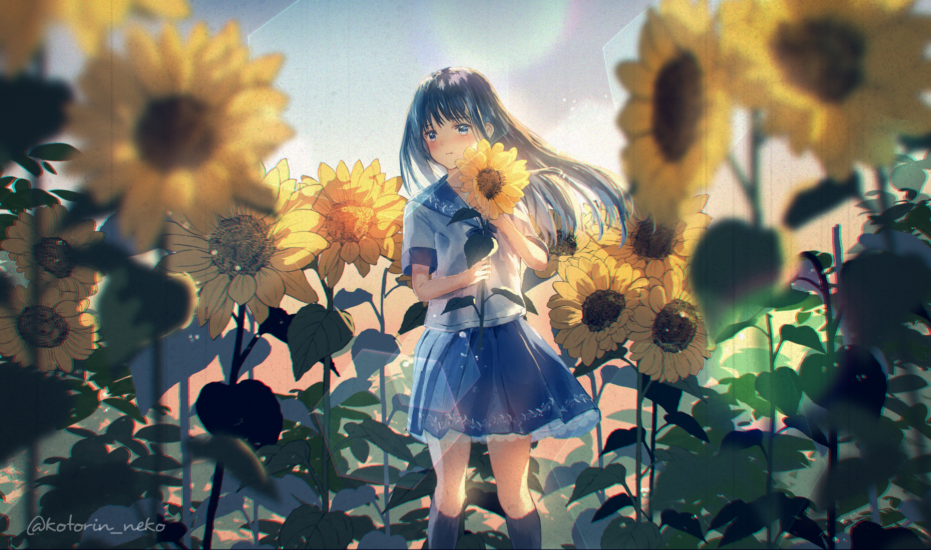 Anime-style original artwork featuring a girl in a blue school uniform standing amidst a vibrant sunflower field, rendered in stunning 4K Ultra HD for PC desktop wallpaper.
