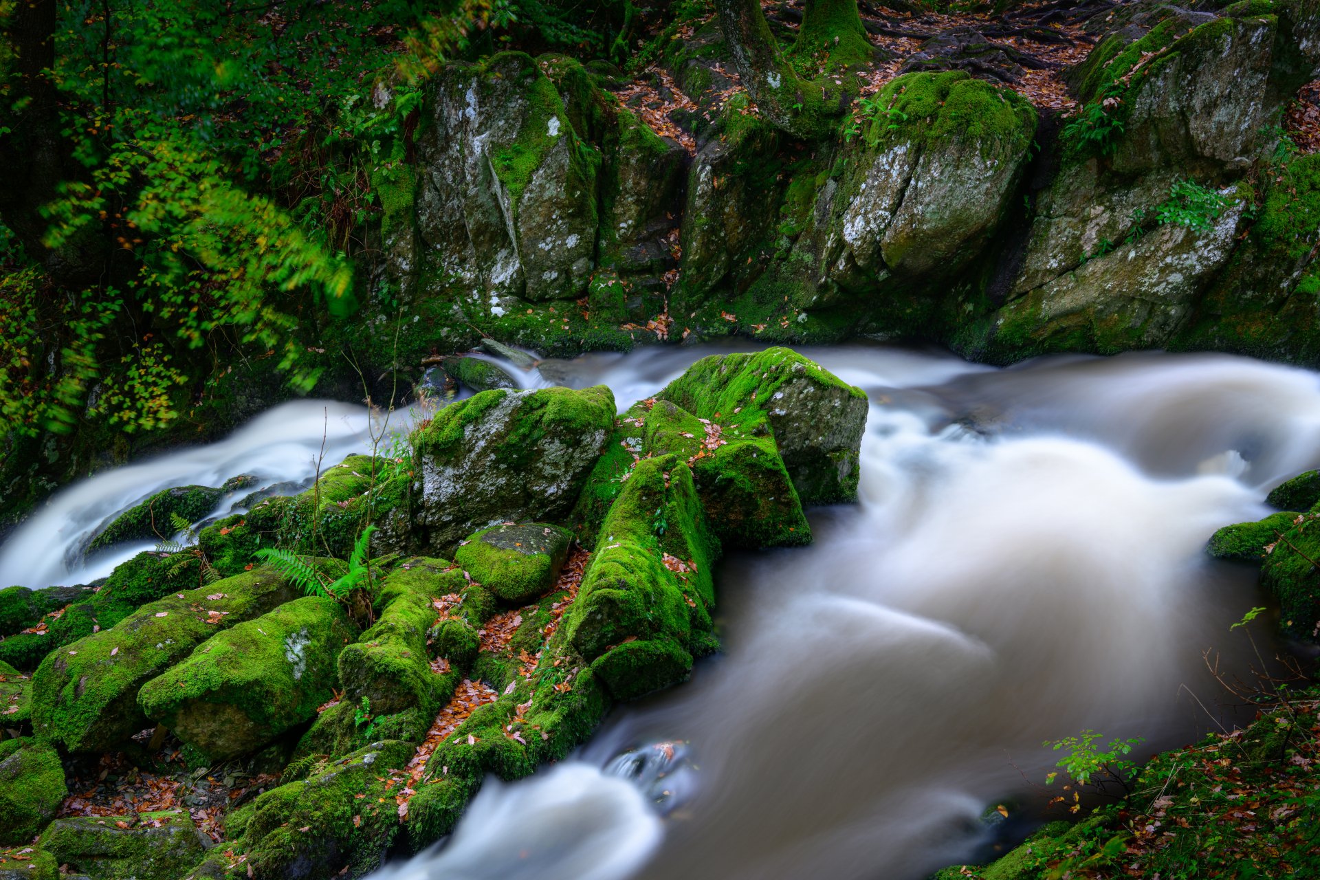 Download Greenery Nature Stream 4k Ultra HD Wallpaper