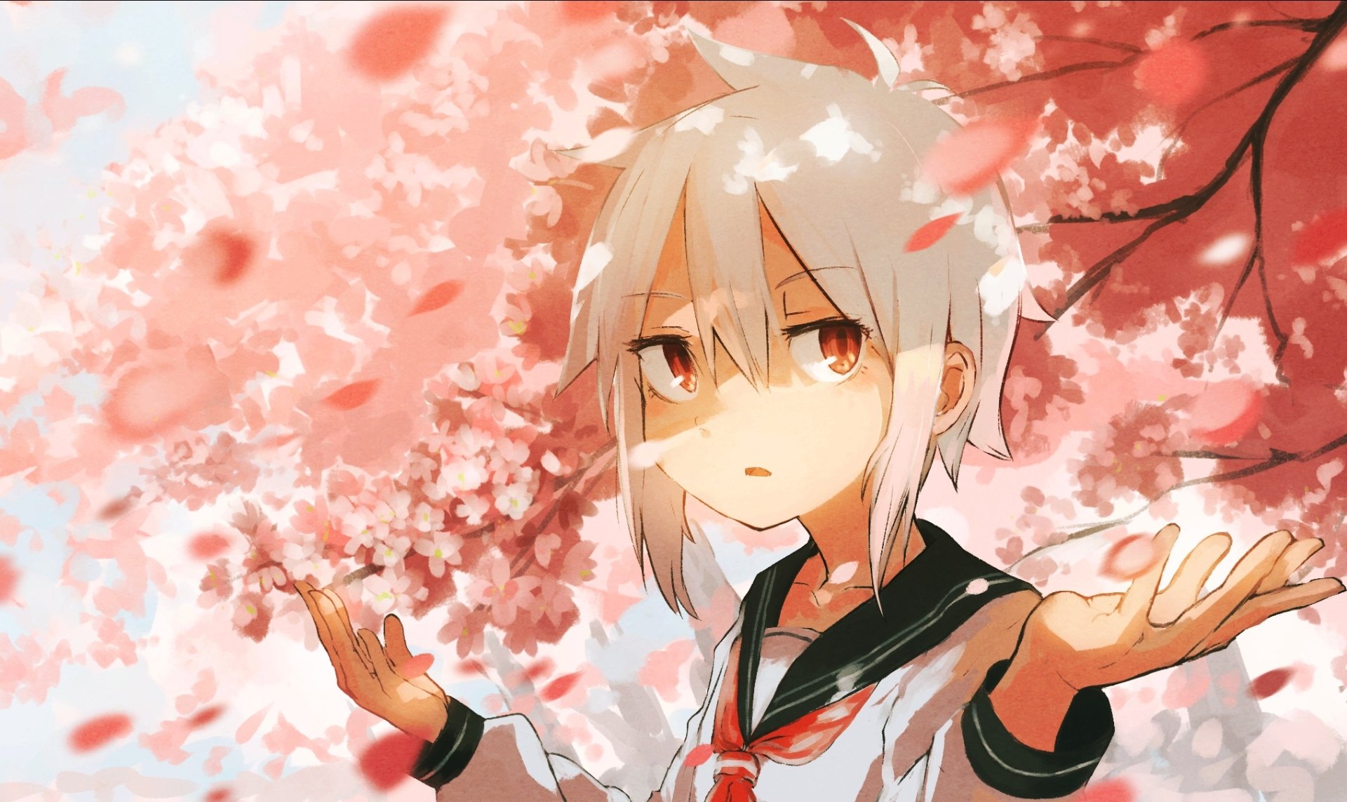 Download Anime Girl Anime Girl HD Wallpaper by 井波ハトコ