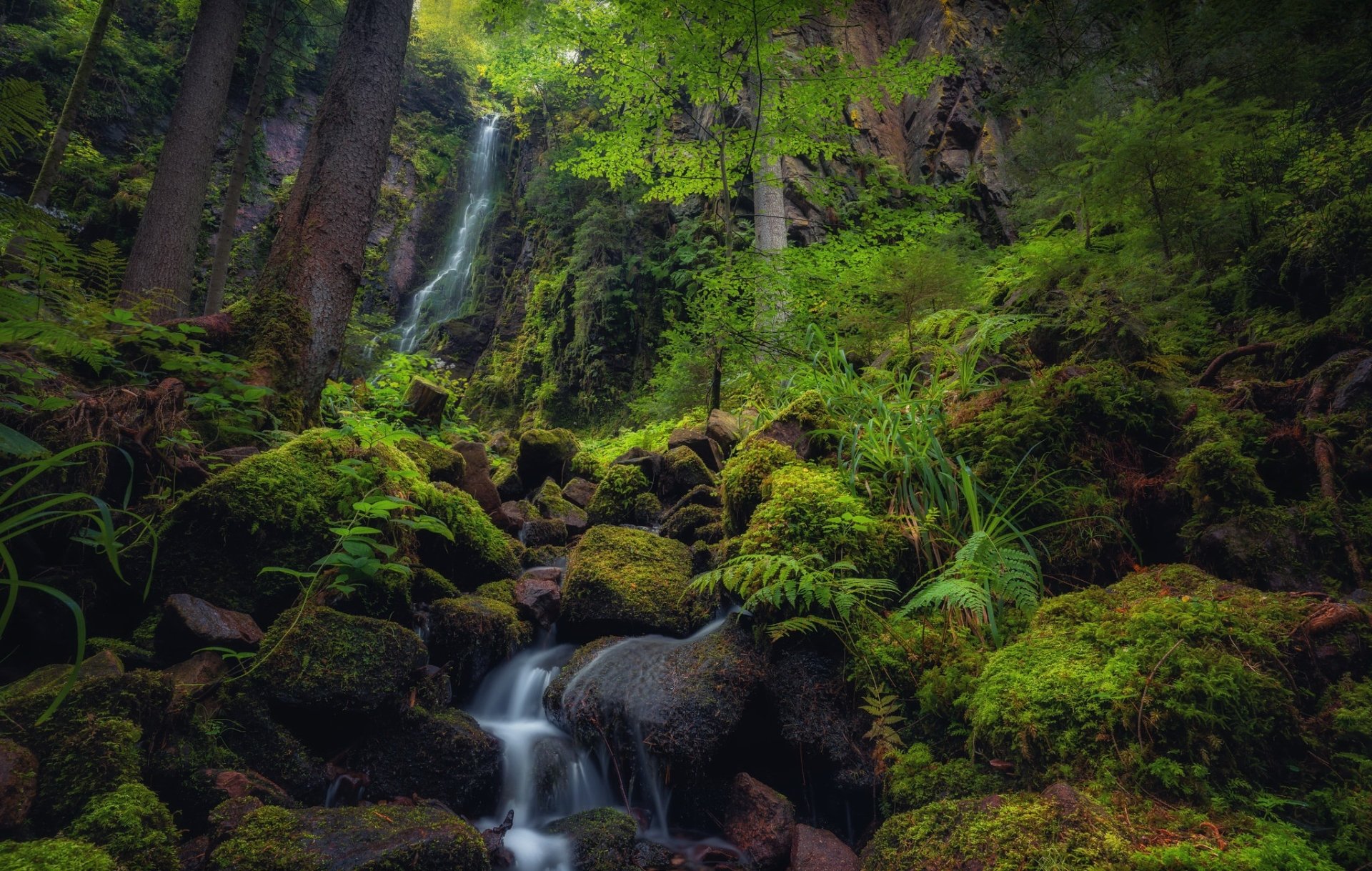 Download Moss Nature Waterfall HD Wallpaper